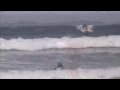 Coconut Harrys Surf Report 7-14-09 Nosara Costa Rica