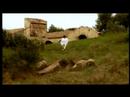 Une poule Rabbin
