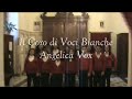 XXIII Concerto Epifania; Salvatore Coniglio-Angelica Vox-Sturm und Drang: Auguri-Invito