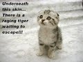 great animal movie