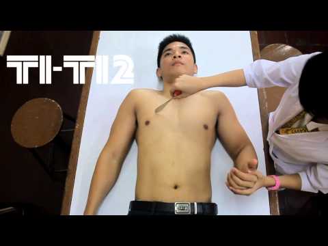 how to assess dermatomes