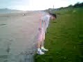 Video0001