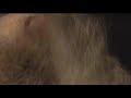 Synergy Brass Quintet Video Shorts: Jon\ Synergy Brass Quintet Video Shorts: Jon\