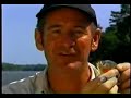 amazon piranha