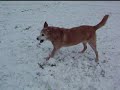 Molly vs The Snowman Part 2