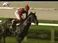 Cosmo Bulk won　Singapore Airlines International Cup