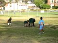 videos de logan football video