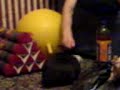 Fluffee Balances On Spacehopper Fluffee Balances On Spacehopper