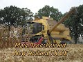 Mais dreschen mit New Holland TX 68