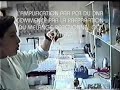 DNA. Amplification par PCR DNA. Amplification par PCR