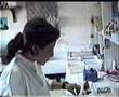 DNA. Amplification par PCR
