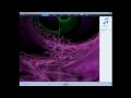 How To Download Free Music, Videos, And Pictures Using BitTorrent and Mininova (HD)