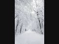 Sigur R�s - Hoppipolla