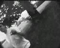 videos de Arnos Vale Pond, Bristol 2006