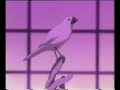 Fruits Basket Ch.8(Hatori san)