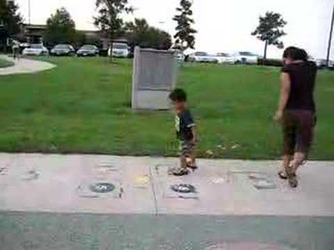 Z and Namini's Day at the Park