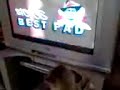 Cat watches TV / Gata mita tele