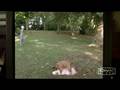 Scary Movie 3 (Alien Atack)
