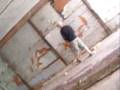 videos de GEDC0031.MOV