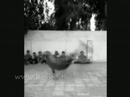bboy-obaida-pokemon alex Crew