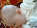 luka ds le canap�