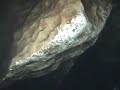 Cave Diving at Little River, Florida - USA