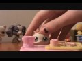 Littlest Pet Shop, The Runaway Part 9