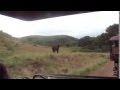 Safari - Zuid-Afrika