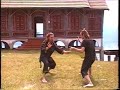 Harimau pencak silat