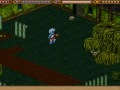 How to get to Bales!!!