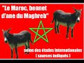 LE MAROC : LE BONNET D'ANE DU MAGHREB ! SELON ETUDE