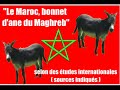 LE MAROC : LE BONNET D\ LE MAROC : LE BONNET D\