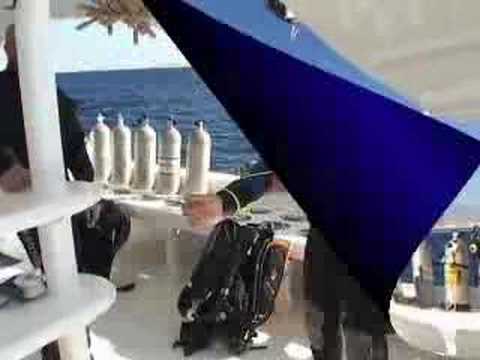 Rebreather Diving Red Sea