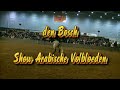 Ilona Bax Paard & Koets (Equirience) 2009