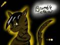 UPDATED New Prophecy Cats