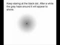 Optical Illusion Clip