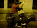 Ridin The Bulll