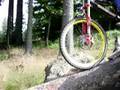 Evil-Eye-Bikepark-Ge