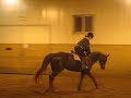 Me falling off of Joey.