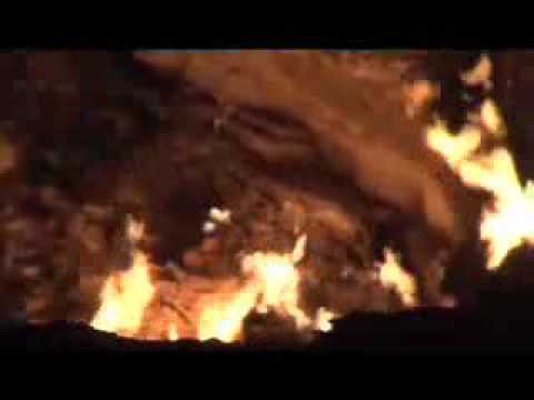See funny video