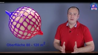 Funktion und Aufbau der Lunge