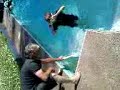 pushed in pool