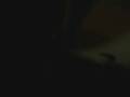 watch this
