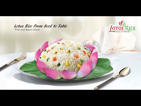 Lotus Rice - From seed to table