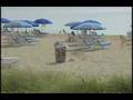 DoubleTree Hotel Info Commercial
