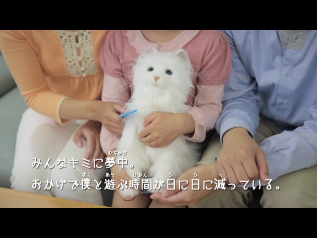 夢ねこプレミアム 夢ねこプレミアム｜セガ フェイブ トイ製品情報公式