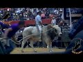 LOS 20 MEJORES DESTRUCTORES DE MEMO OCAMPO EN LA MONUMENTAL DE MORELIA, 29 ENERO 2012.