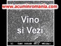 Argintul Coloidal - cel mai bun remediu natural la AH1N1 (gr