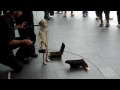 Here's direct YouTube link to the very end of a cool street performer we saw on Queen Street - http://bit.ly/7pYVhT