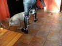 Chanah fait de l\ Chanah fait de l\